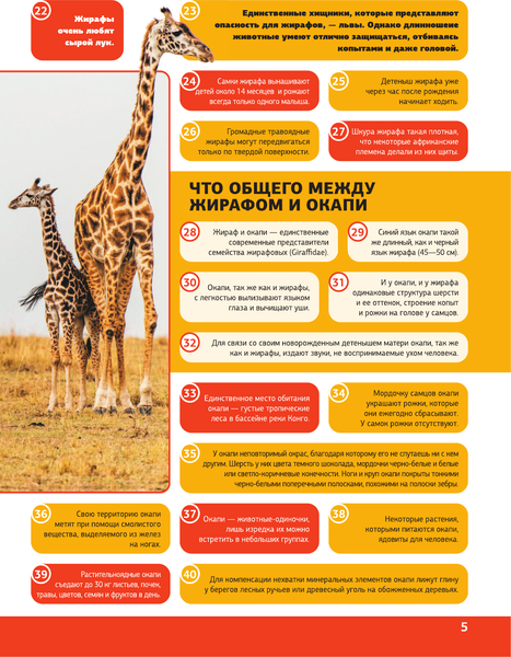 Изображение товара Энциклопедия АСТ 5000 удивительных фактов, которые можно изучать целый год