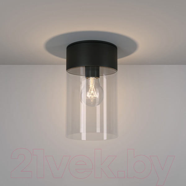 Изображение товара Светильник уличный Elektrostandard Atrani 35085/F (черный)