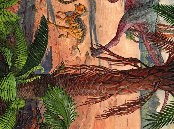 Изображение товара Энциклопедия АСТ Динозавры. Путешествие в прошлое, твердая обложка (Попов Ярослав)