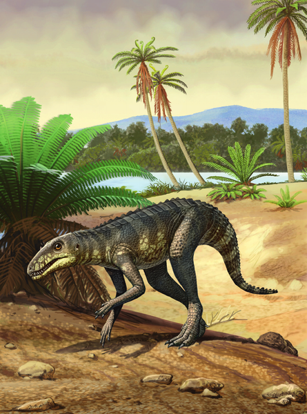 Изображение товара Энциклопедия АСТ Динозавры. Путешествие в прошлое, твердая обложка (Попов Ярослав)