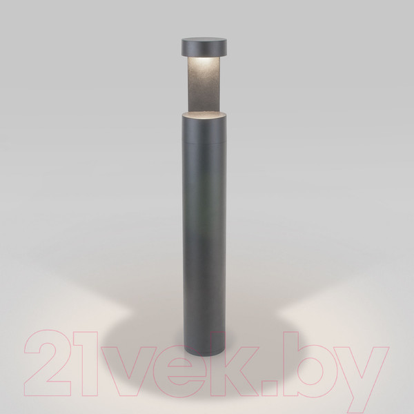 Изображение товара Светильник уличный Elektrostandard Nimbus IP54 35126/F (серый)