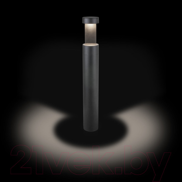 Изображение товара Светильник уличный Elektrostandard Nimbus IP54 35126/F (серый)