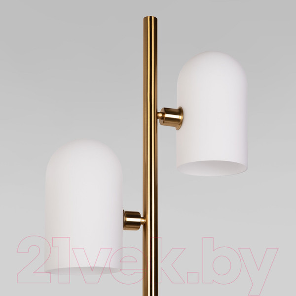 Изображение товара Торшер Евросвет 01164/2 (латунь)