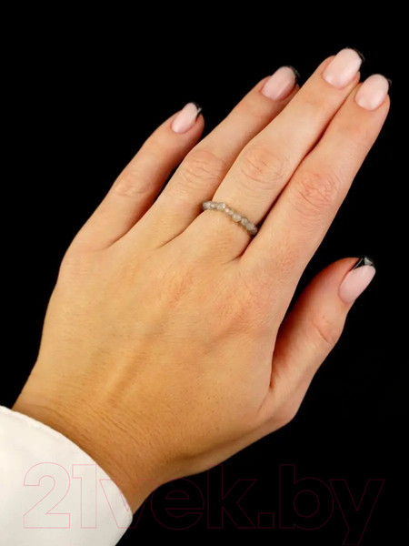 Изображение товара Кольцо Wolves Лабрадор 5378 (р.19-20)