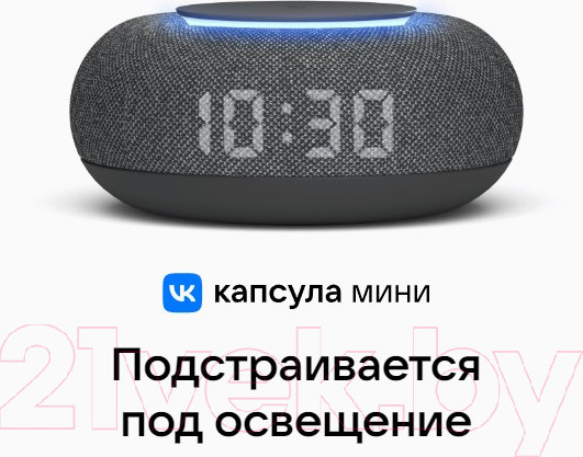 Изображение товара Умная колонка VK Капсула Мини MRC02 (светло-серый)