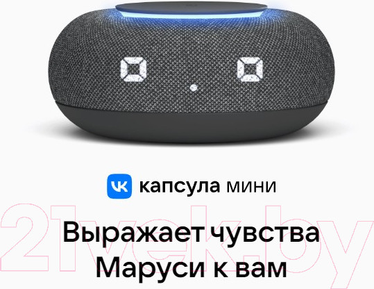 Изображение товара Умная колонка VK Капсула Мини MRC02 (светло-серый)