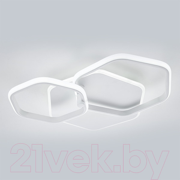 Изображение товара Потолочный светильник ESCADA 10217/2LED BL (белый)