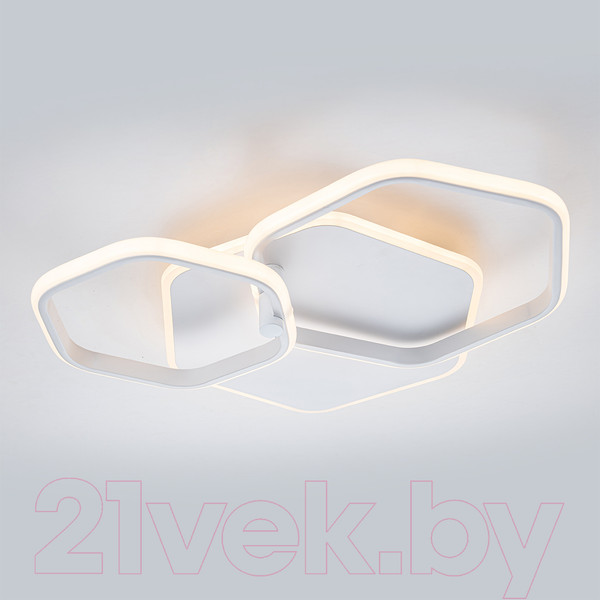 Изображение товара Потолочный светильник ESCADA 10217/2LED BL (белый)