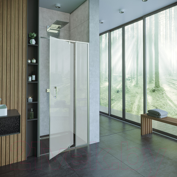 Изображение товара Душевая дверь Alex Baitler AB78C90