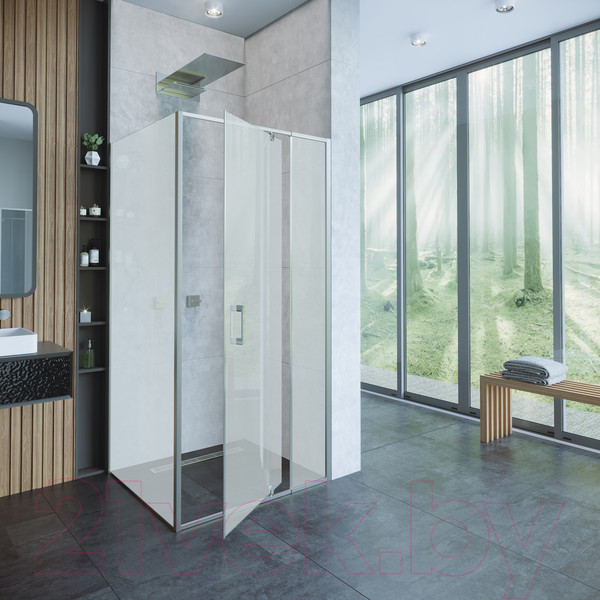 Изображение товара Душевая стенка Alex Baitler 100x200 / SG78C100