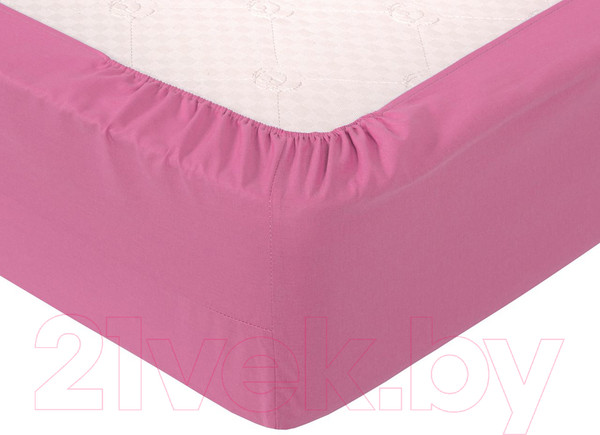 Изображение товара Простыня АртПостель Клюквенный на резинке 986 (200x200)