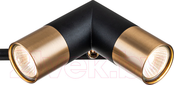 Изображение товара Люстра Indigo Light Doppio V000452