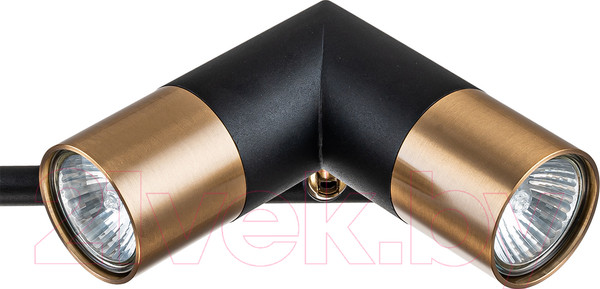 Изображение товара Люстра Indigo Light Doppio V000452