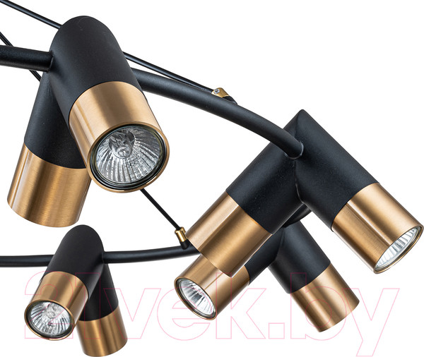 Изображение товара Люстра Indigo Light Doppio V000456