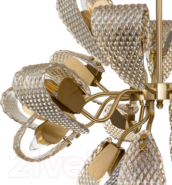 Изображение товара Люстра Indigo Light Fless V000345