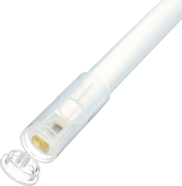 Изображение товара Набор цветных карандашей Erich Krause Safari + точилка / 61819 (12цв)