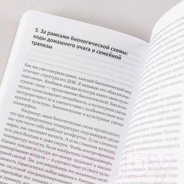 Изображение товара Книга Альпина Культурный код. Покет / 9785961492941 (Рапай К.)