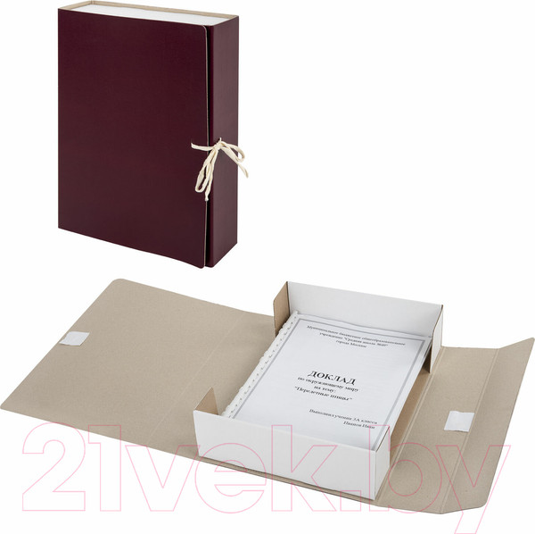 Изображение товара Коробка архивная Staff 126900 (бордовый)