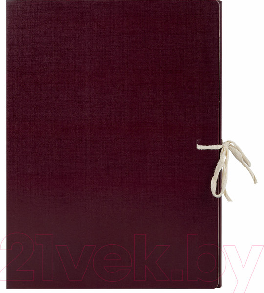 Изображение товара Коробка архивная Staff 126900 (бордовый)