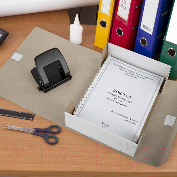 Изображение товара Коробка архивная Staff 126900 (бордовый)