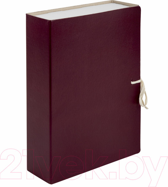 Изображение товара Коробка архивная Staff 126900 (бордовый)