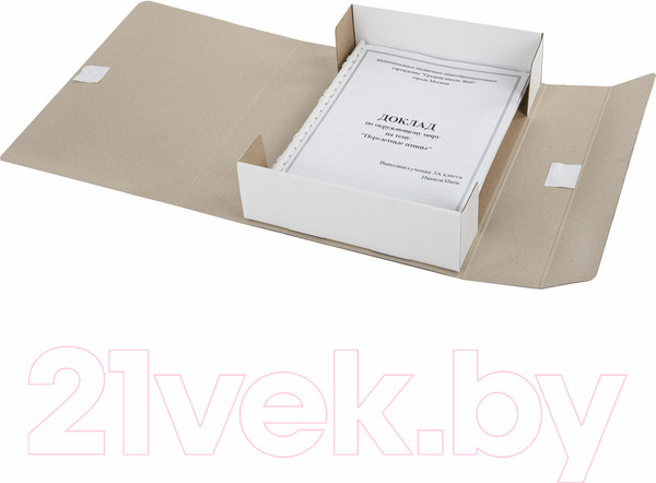 Изображение товара Коробка архивная Staff 126900 (бордовый)