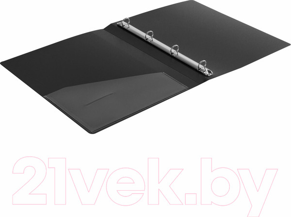 Изображение товара Папка для бумаг Brauberg Extra / 270482 (черный)