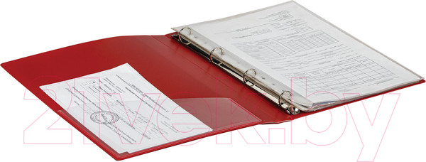 Изображение товара Папка для бумаг Brauberg Extra / 270545 (красный)