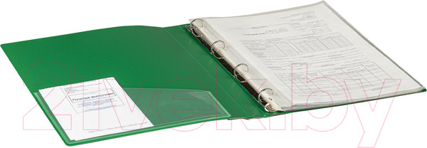 Изображение товара Папка для бумаг Brauberg Extra / 270546 (зеленый)