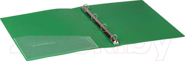 Изображение товара Папка для бумаг Brauberg Extra / 270546 (зеленый)