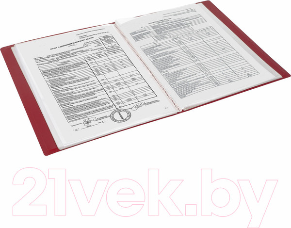 Изображение товара Папка для бумаг Brauberg Office / 271329 (красный)