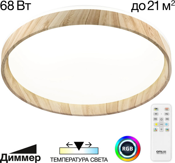 Изображение товара Потолочный светильник Citilux Enzo CL753452G