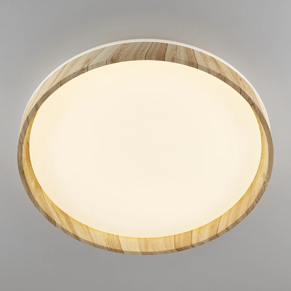 Изображение товара Потолочный светильник Citilux Enzo CL753452G