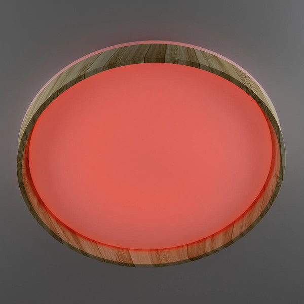 Изображение товара Потолочный светильник Citilux Enzo CL753452G