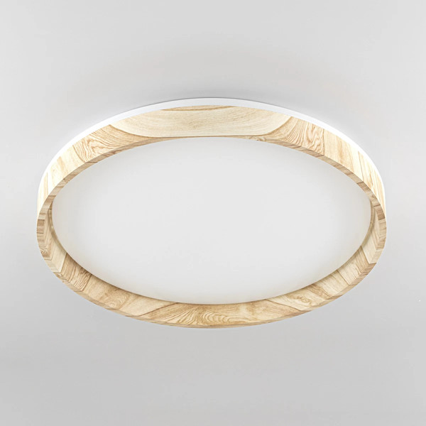 Изображение товара Потолочный светильник Citilux Enzo CL753452G