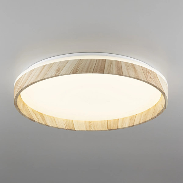 Изображение товара Потолочный светильник Citilux Enzo CL753452G