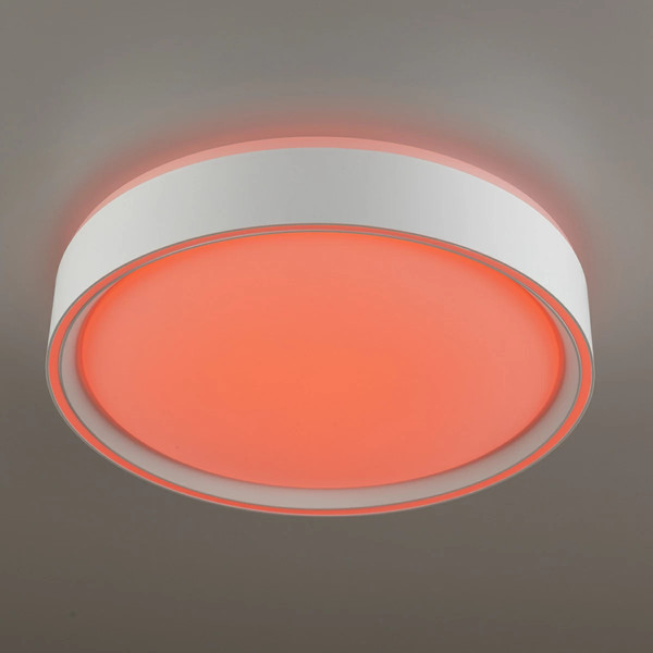 Изображение товара Потолочный светильник Citilux Boss CL751250G