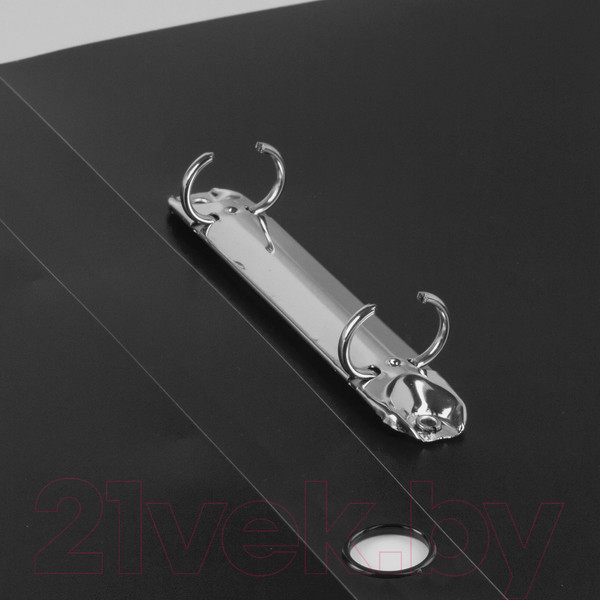 Изображение товара Папка для бумаг Brauberg Стандарт / 221618 (черный)