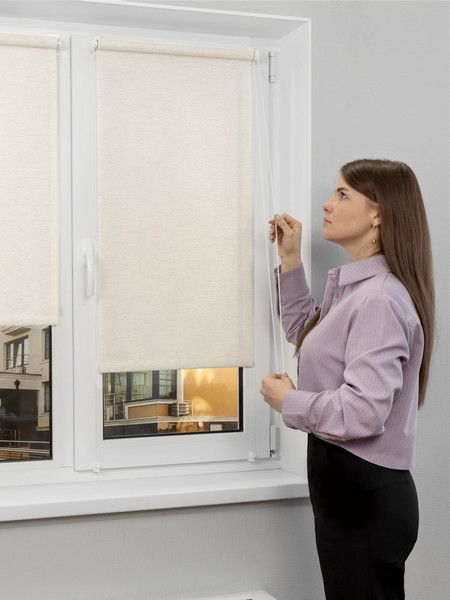 Изображение товара Рулонная штора Lm Decor LM 46-02 48x160 (бежевый)