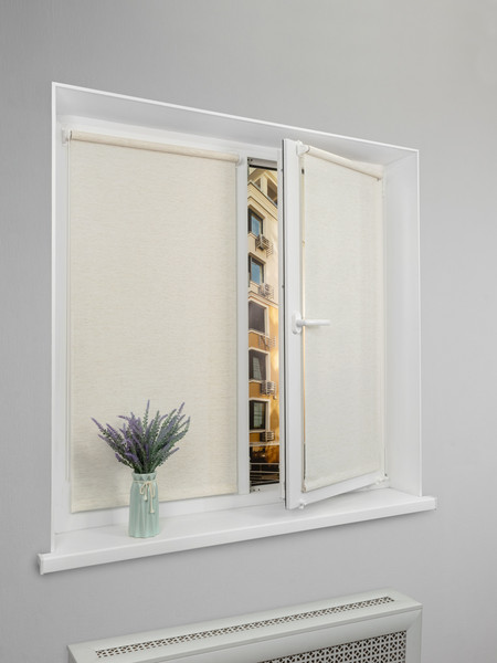 Изображение товара Рулонная штора Lm Decor LM 46-02 48x160 (бежевый)