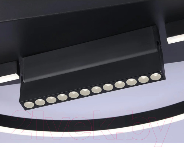 Изображение товара Потолочный светильник Ambrella Comfort FL51460/1+1 BK (черный)