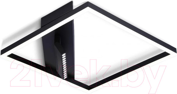 Изображение товара Потолочный светильник Ambrella Comfort FL51464/1+1 BK (черный)