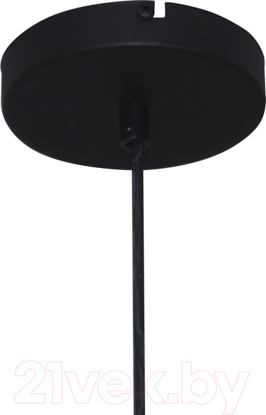 Изображение товара Потолочный светильник Элетех Гамма 211 НСБ 01-60-193 / 1005405347 (черно-белый муар)