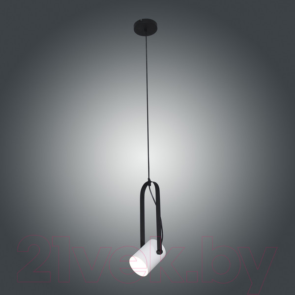 Изображение товара Потолочный светильник Элетех Гамма 211 НСБ 01-60-193 / 1005405347 (черно-белый муар)