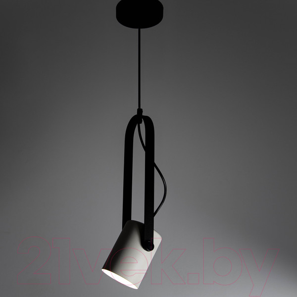 Изображение товара Потолочный светильник Элетех Гамма 211 НСБ 01-60-193 / 1005405347 (черно-белый муар)