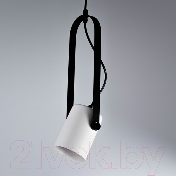 Изображение товара Потолочный светильник Элетех Гамма 211 НСБ 01-60-193 / 1005405347 (черно-белый муар)