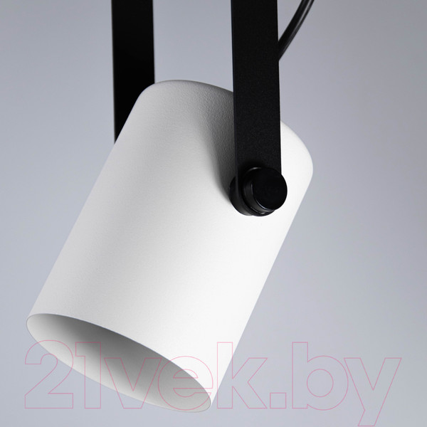 Изображение товара Потолочный светильник Элетех Гамма 211 НСБ 01-60-193 / 1005405347 (черно-белый муар)