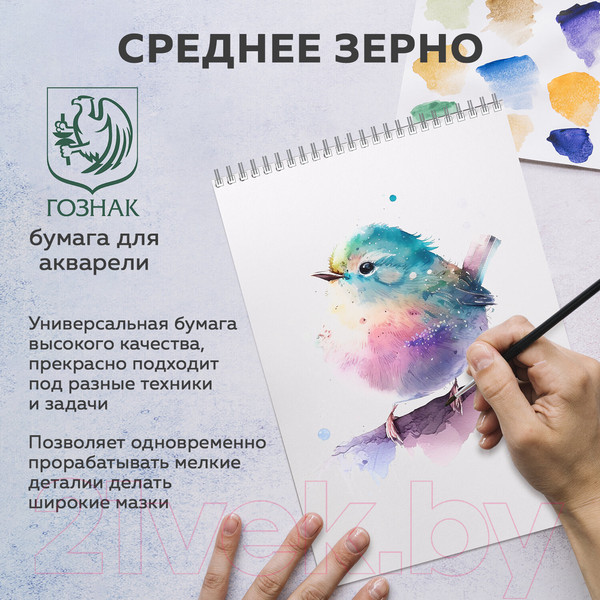 Изображение товара Скетчбук Brauberg Art Debut / 110994
