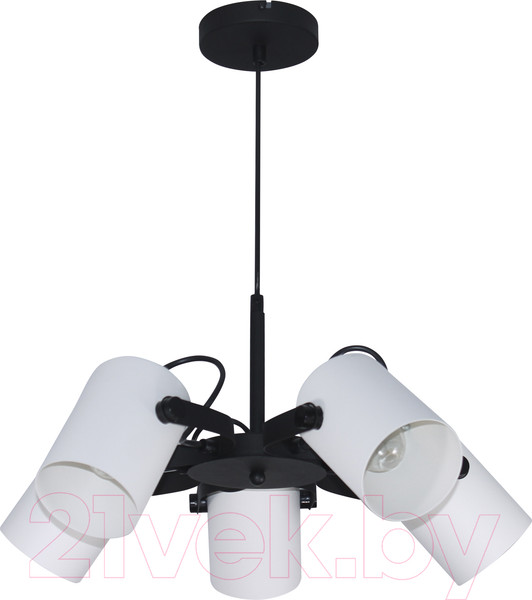 Изображение товара Люстра Элетех Гамма 251 НСБ 01-5х60-140 / 1005405349 (черно-белый муар)