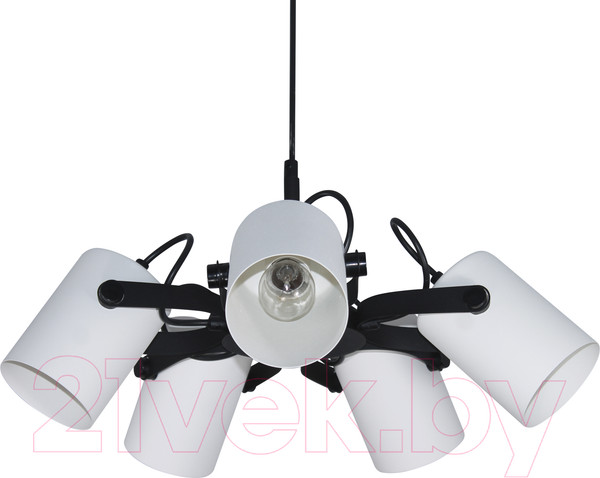 Изображение товара Люстра Элетех Гамма 251 НСБ 01-5х60-140 / 1005405349 (черно-белый муар)